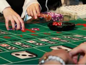 壹号国际app下载2024最新版